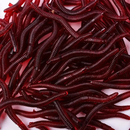 Pile of red, ribbed, worm-shaped objects.