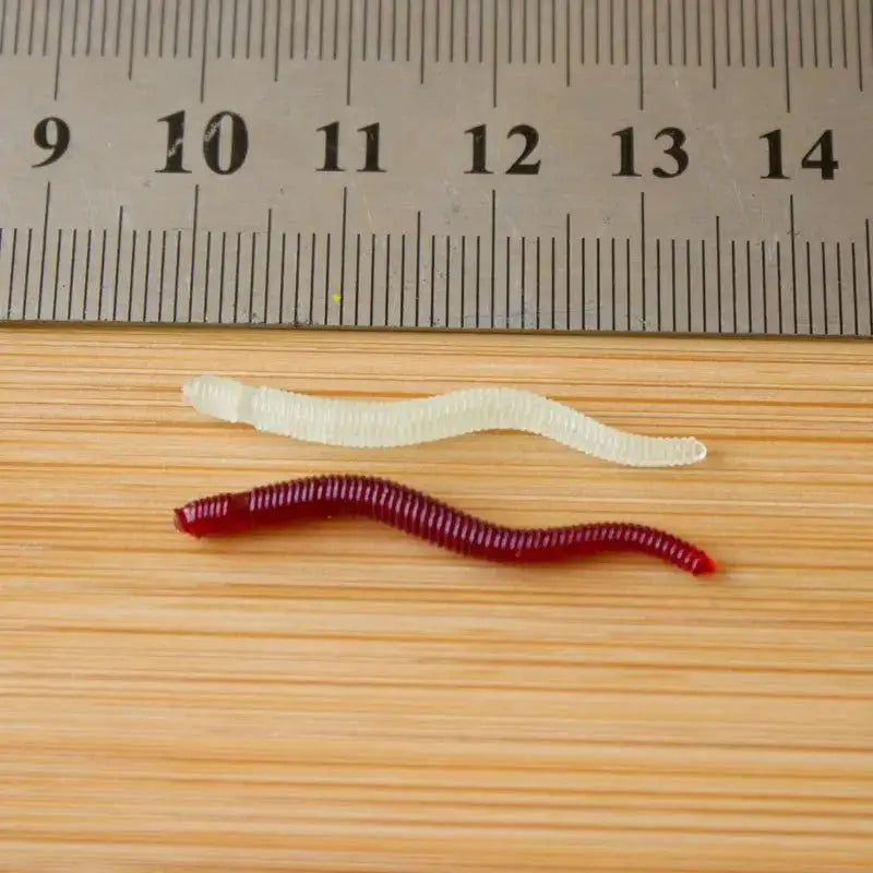 Two artificial fishing worms.