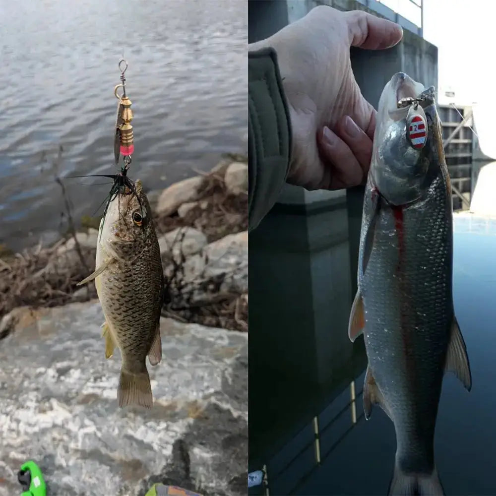 Two caught fish.